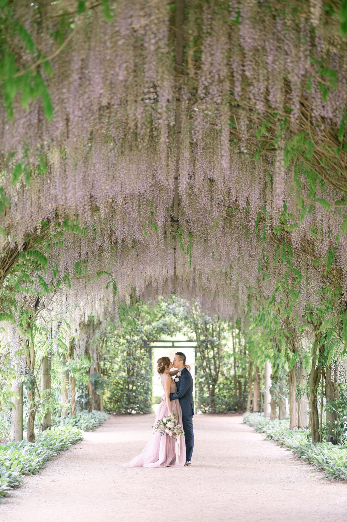 A couple kissing under a canopy of hanging purple flowers in a garden, with a pathway lined with plants.