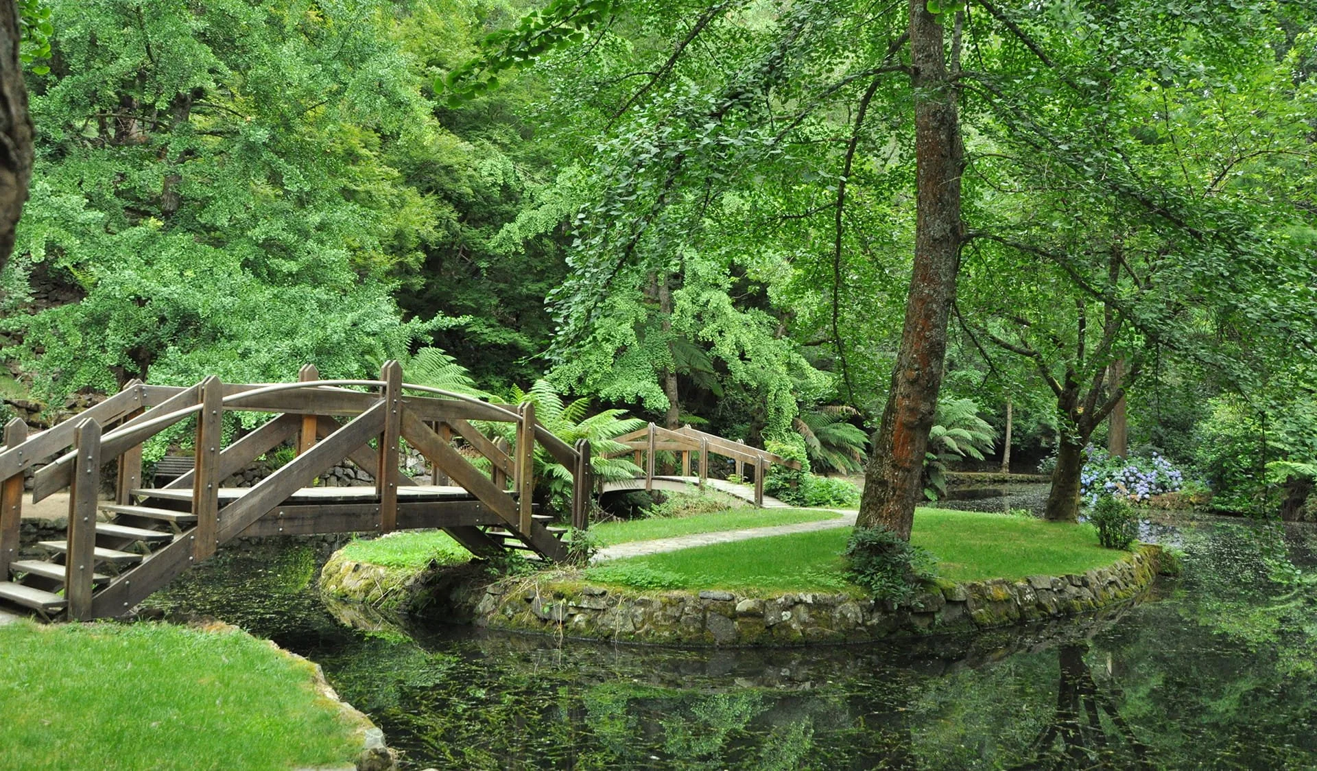 Wooden bridge over a landscaped pond surrounded by lush green trees and plants.