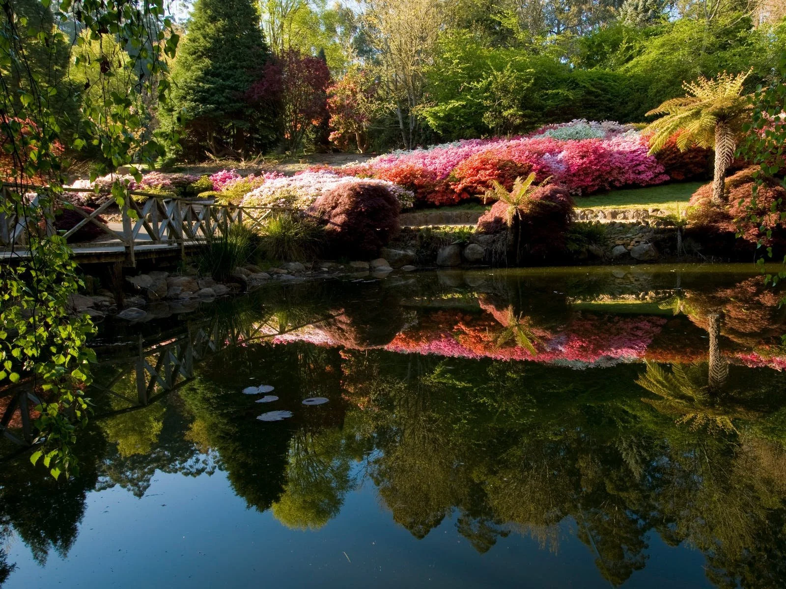 A serene garden with vibrant pink and purple flowers, palm trees, and lush green trees reflected on a calm pond.