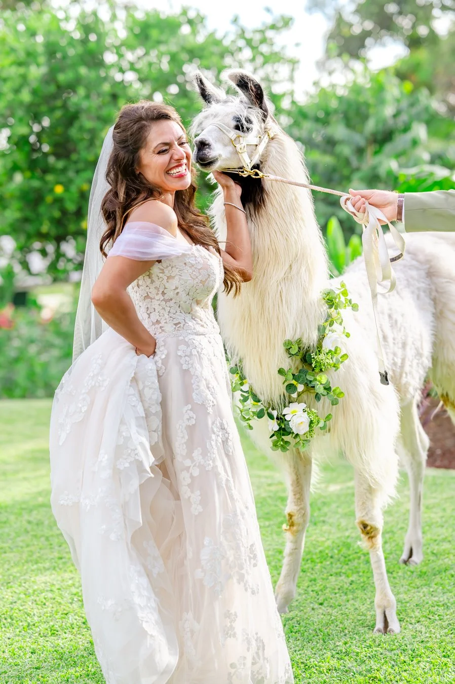 Bride smiling and posing with a decorated llama outdoors, wearing a floral wedding dress.
