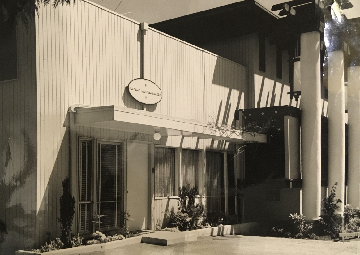 Exterior of a building with a sign that reads 'CAPE LANDMARKS', featuring large vertical pillars, windows with blinds, and a small garden area in front.