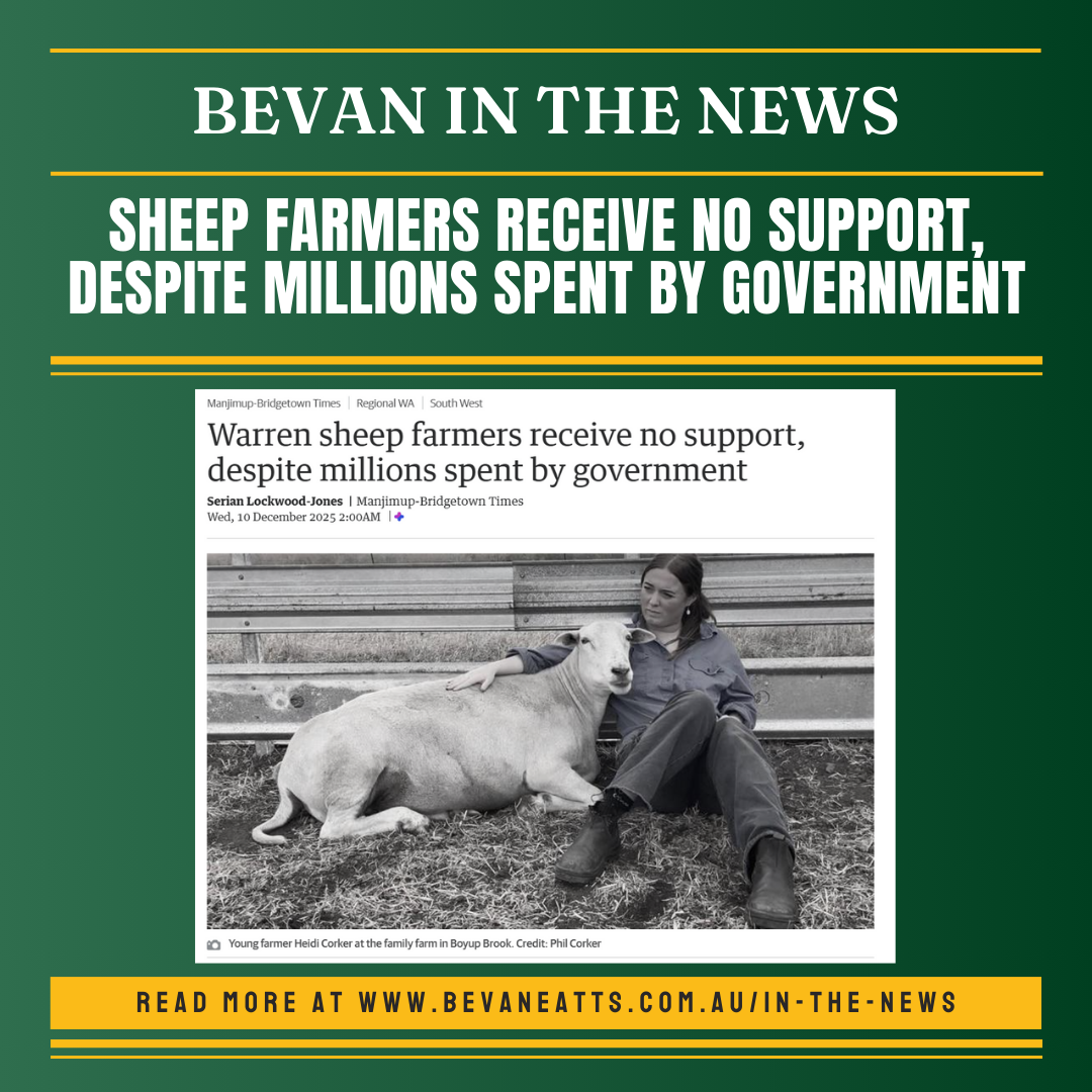 No Live Export Phase-Out Support Yet for Sheep Farmers