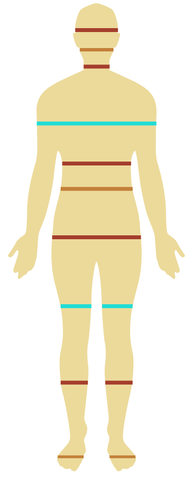 A human body diagram with measurements marked at various points, including head, chest, waist, hips, thighs, and calves, with specific lines indicating measurement areas.