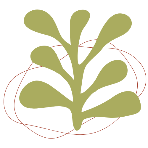 Illustration of a stylized green plant with rounded leaves, with red lines circling around it on a black background.