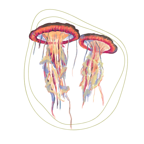Digital illustration of two geode-like objects emitting colorful, flowing liquid or energy, with a green and black background.