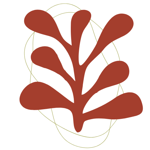 Illustration of a brown plant with elongated leaves, surrounded by a thin yellow circular grid.
