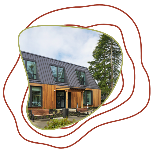 Modern house with wooden exterior, large windows, and a sloped metal roof, surrounded by trees and a small garden.