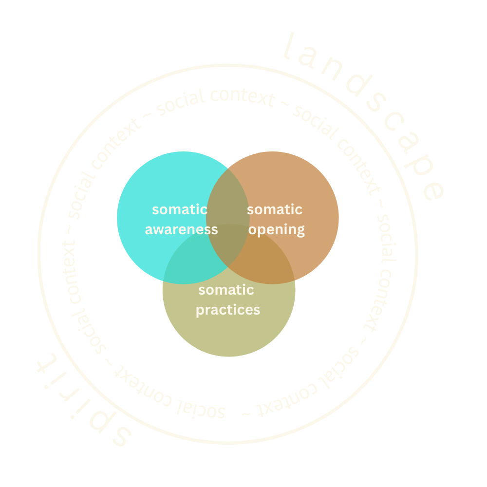 Venn diagram with overlapping circles labeled 'somatic awareness,' 'somatic opening,' and 'somatic practices' on a black background, with text encircling the diagram that reads 'landscape' and 'social context'. Strozzi Model for Somatics