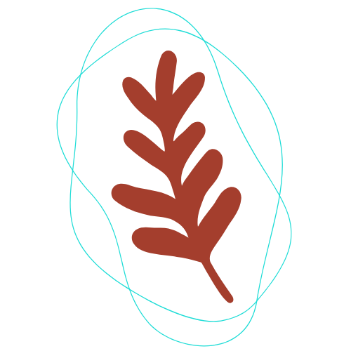 A stylized orange leaf surrounded by three overlapping light blue elliptical lines on a black background.