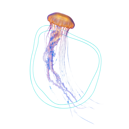A digital illustration of a jellyfish with a glowing orange bell and trailing tentacles against a black background.