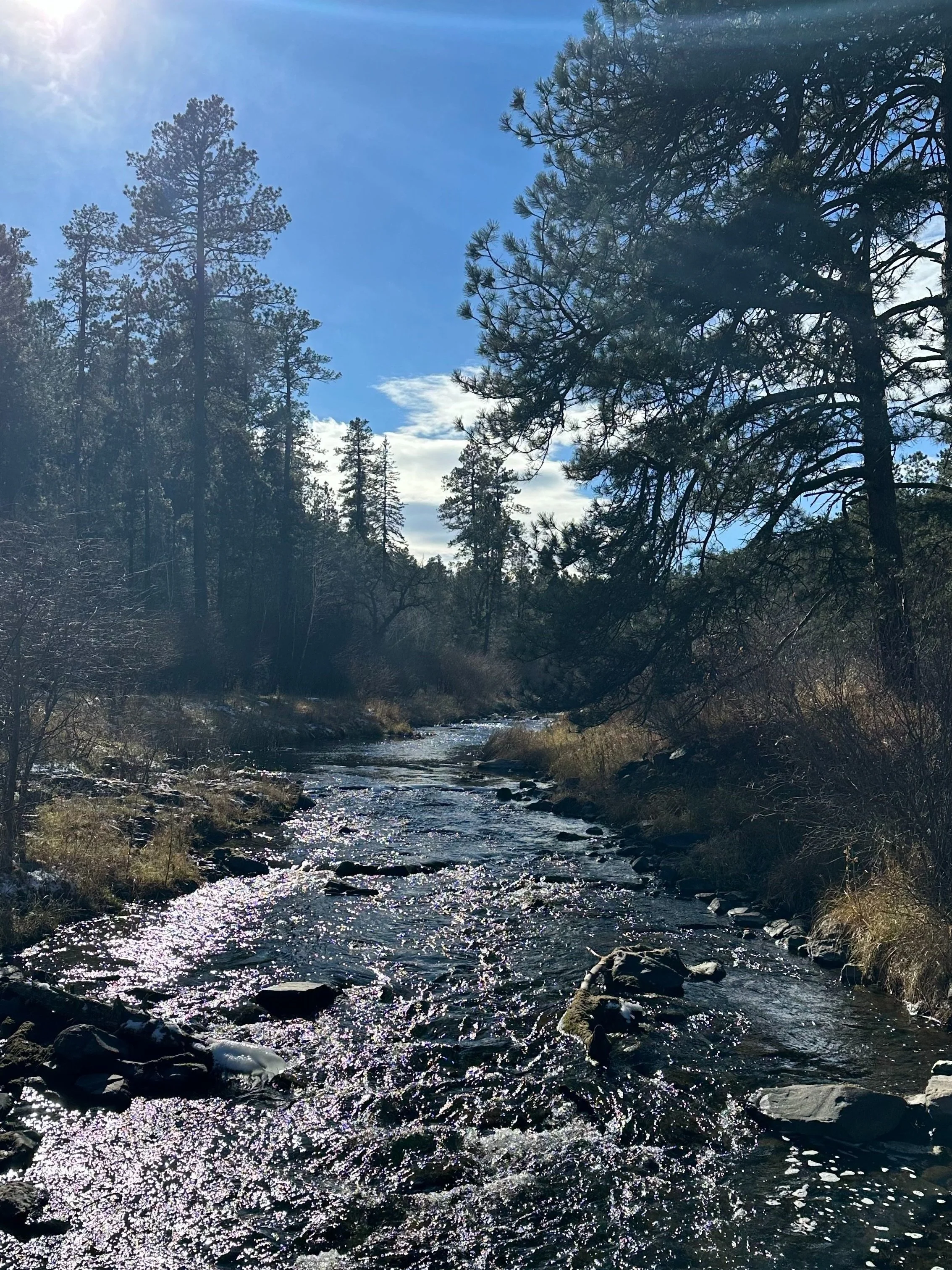 Streams of Peace