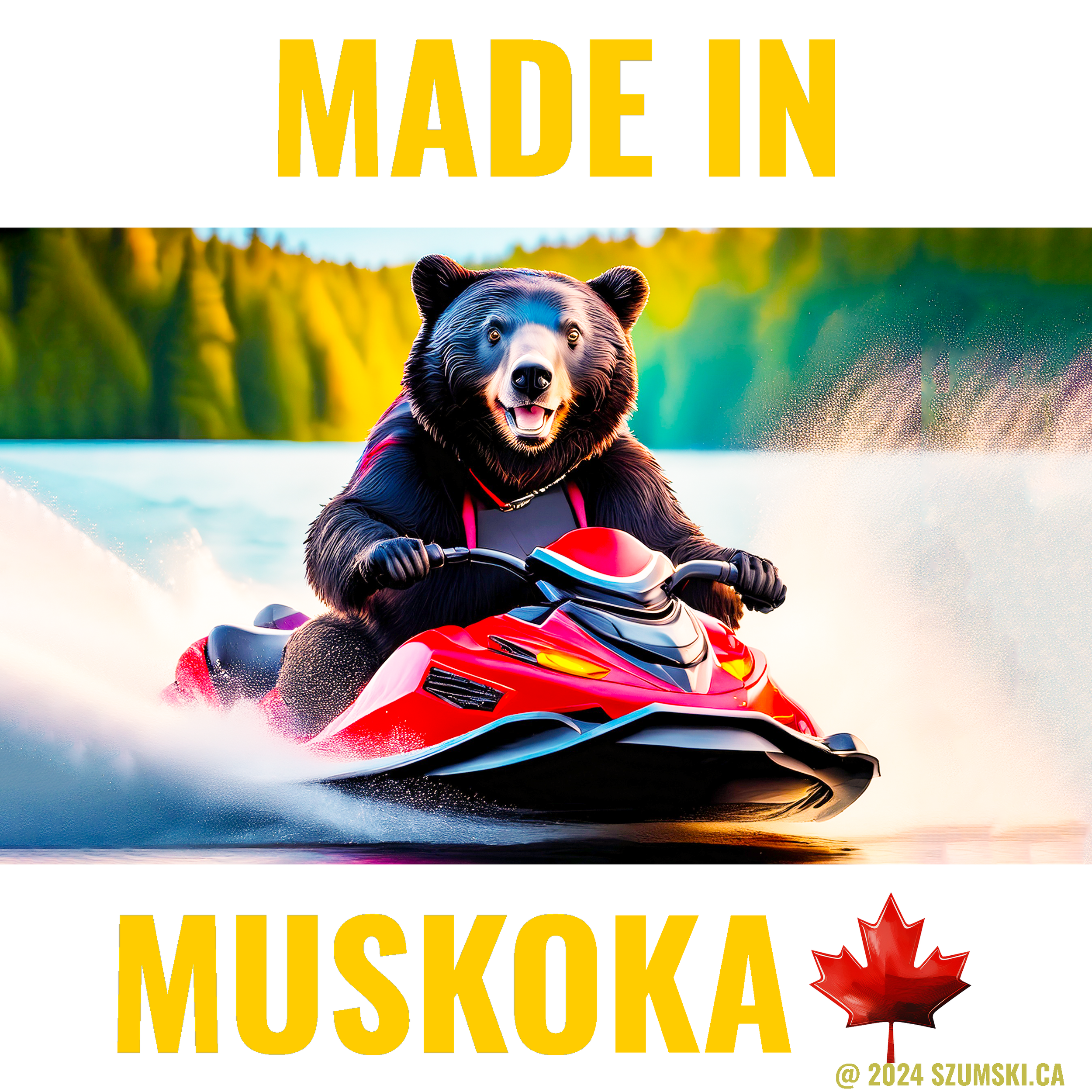 File3- Bear_Seadoo1.png