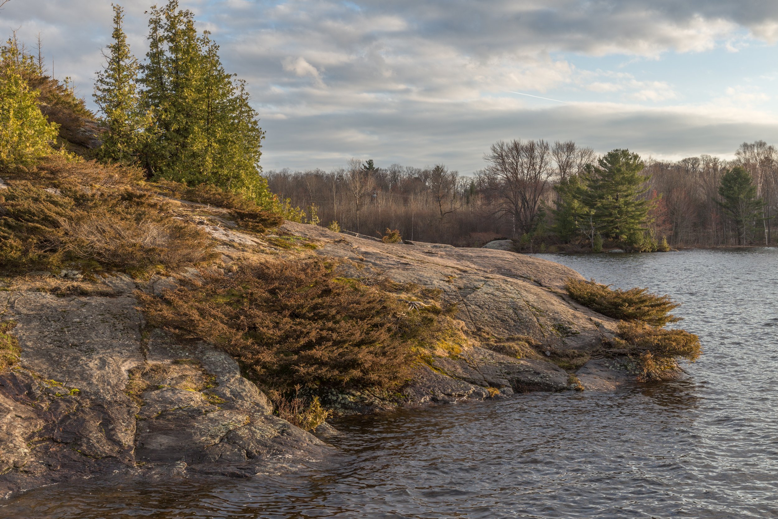 Bass Rock, Bracebridge