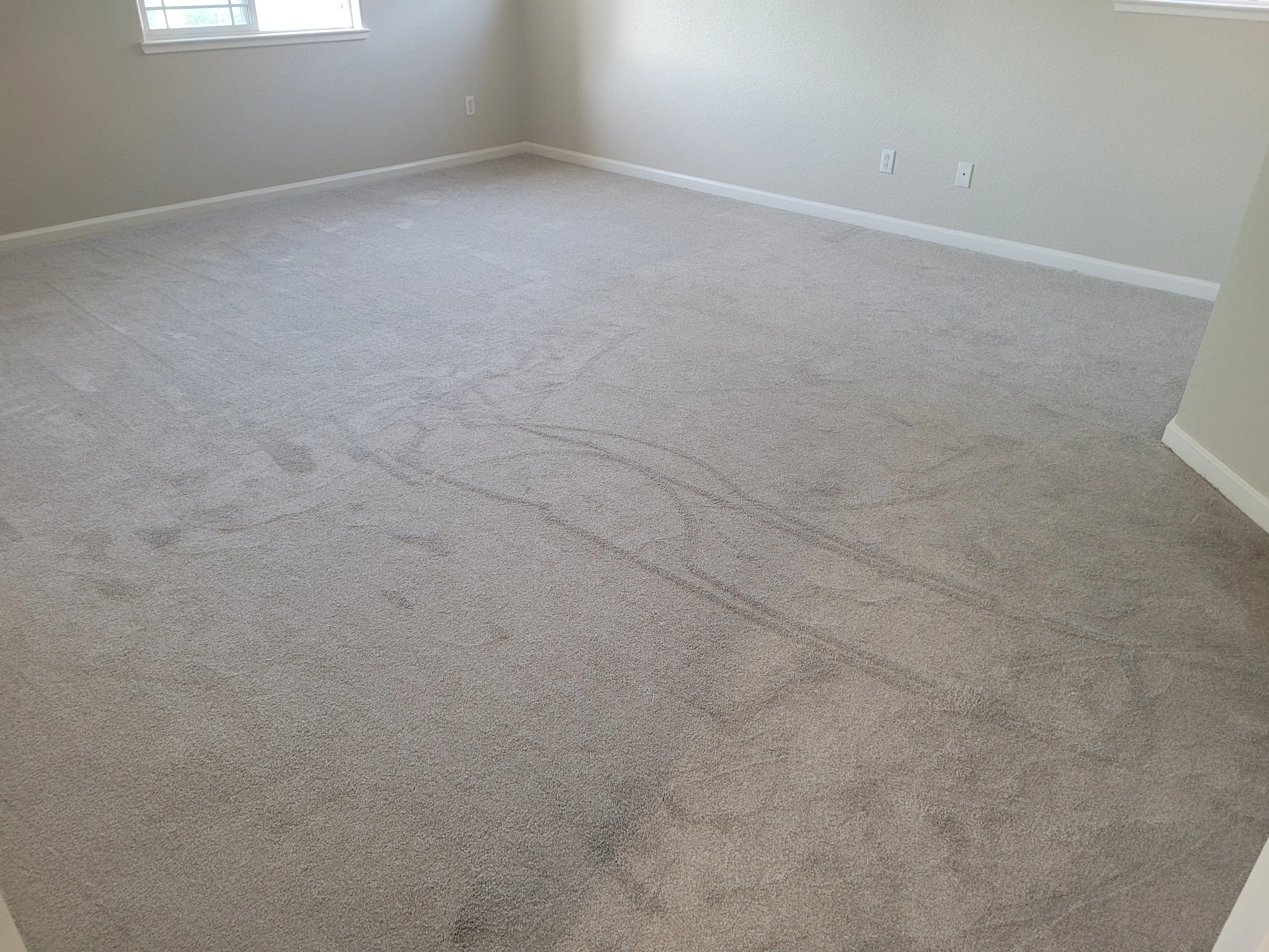 An empty room with beige carpet, white walls, and two windows letting in natural light.