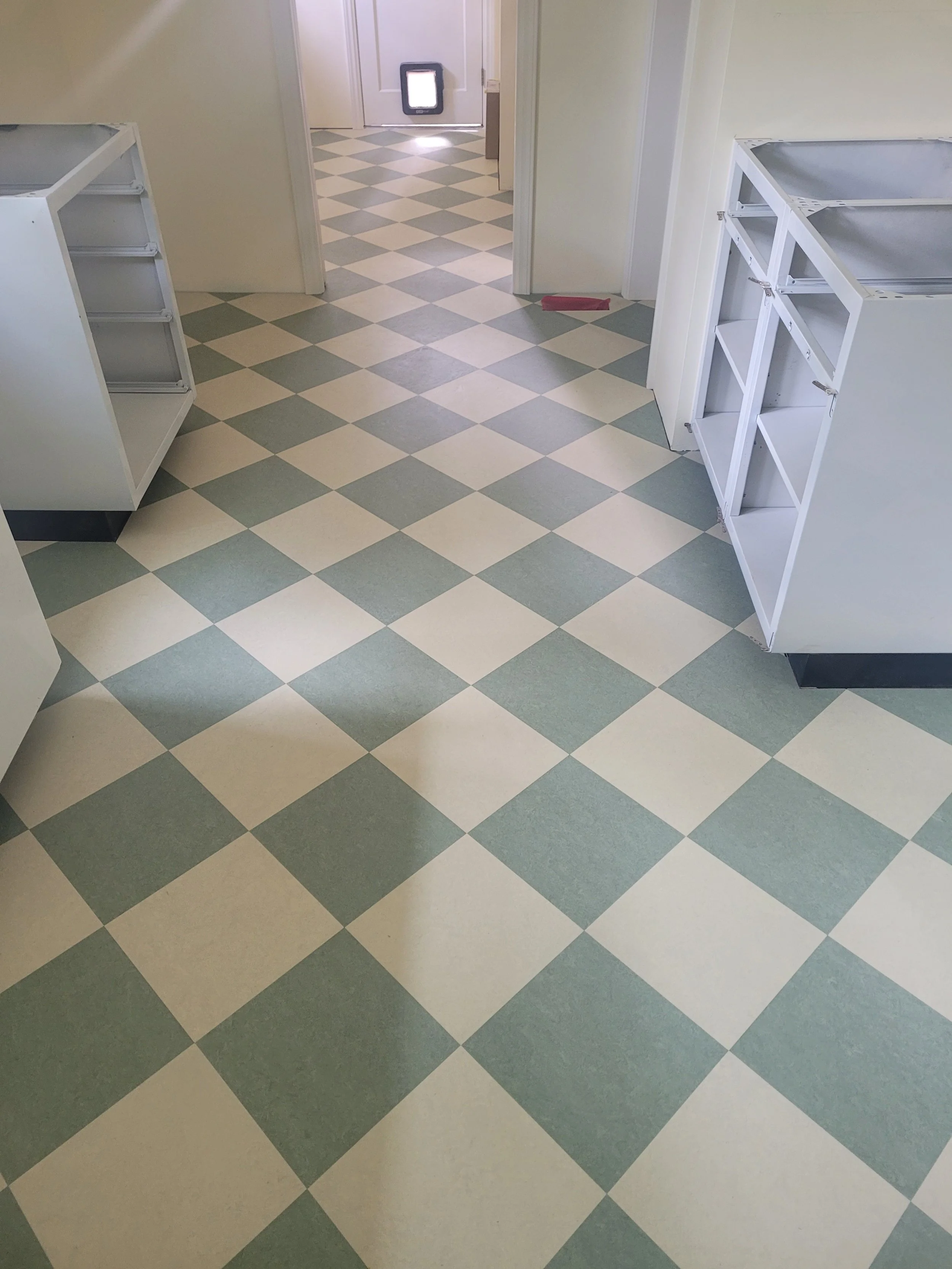 Empty room with checkered green and beige vinyl floor and white metal shelves, doorway leading to another room with matching floor pattern, cat door in the far door.