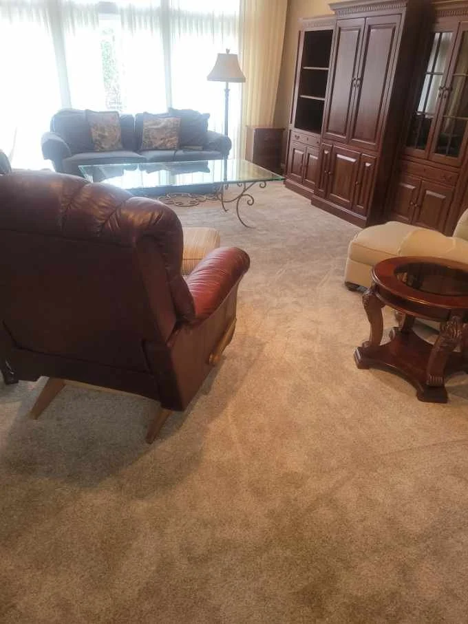 Living room with a brown leather armchair in the foreground, a glass coffee table, a dark upholstered sofa with cushions, a tall wooden cabinet, a beige armchair with an ottoman, a side table, and large windows with curtains.