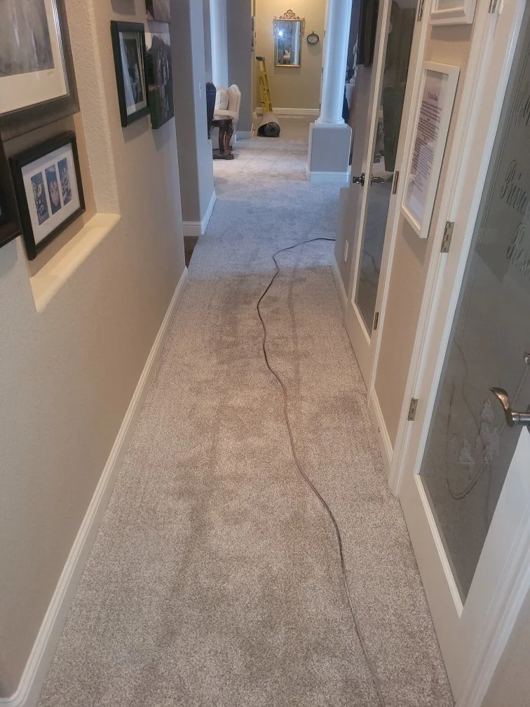 Hallway with beige carpet, framed pictures on the wall, a yellow ladder at the end, and a black pipe on the floor.