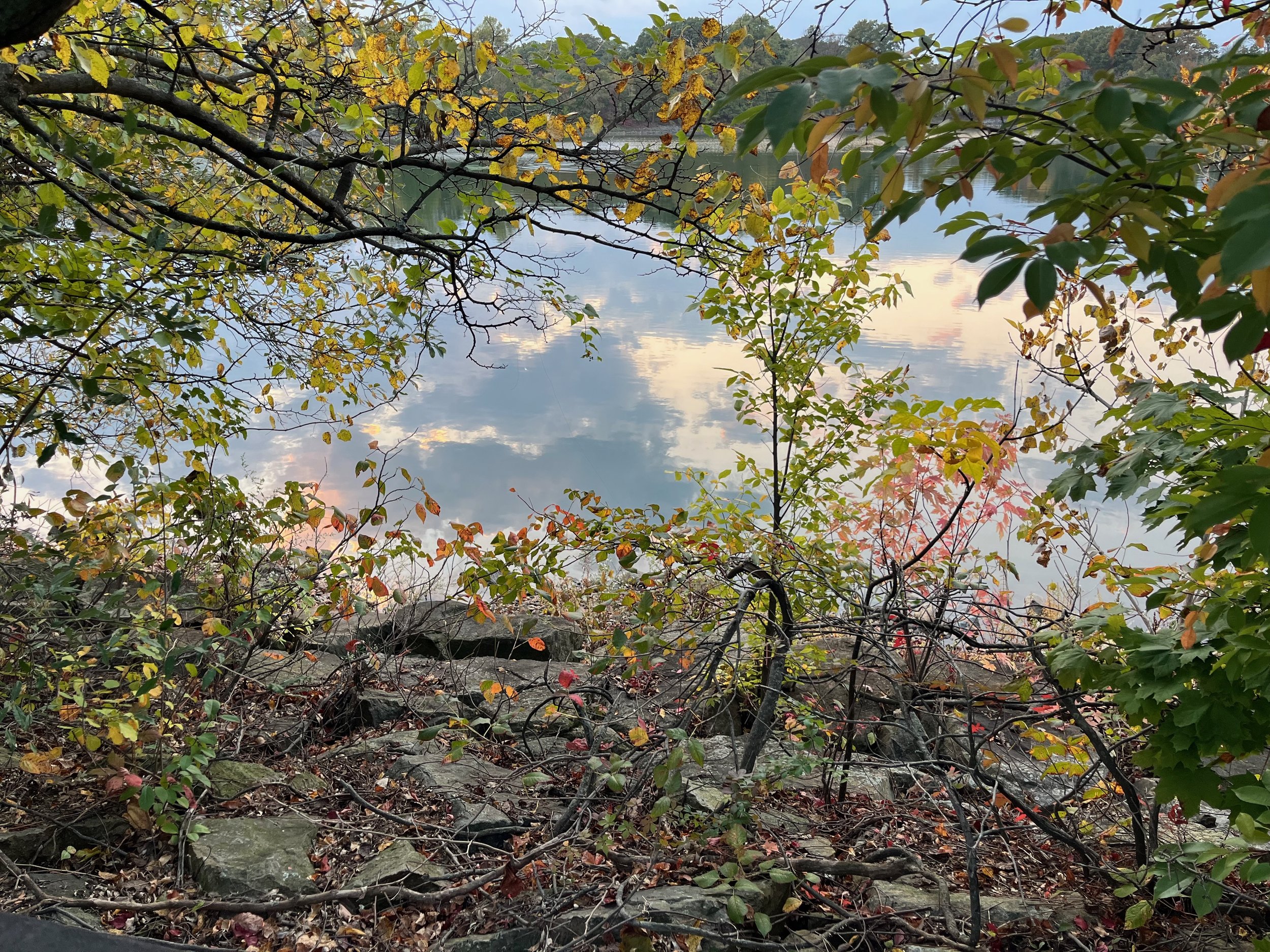 Trees with autumn foliage framing a calm lake, reflecting the sky and clouds, surrounded by rocks and fallen leaves.