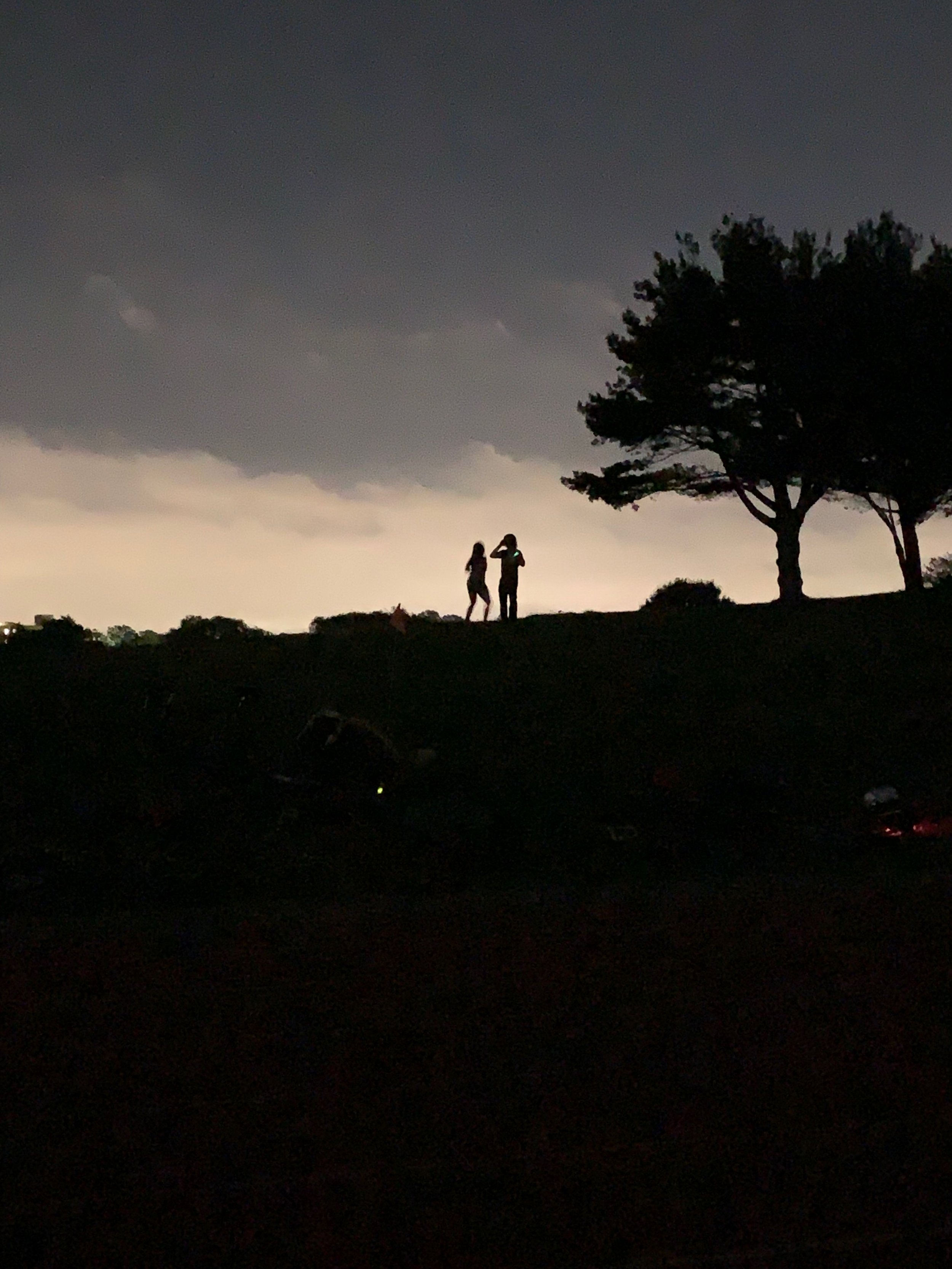 Silhouette of two people standing on a hill near a tree under a dark, cloudy sky.