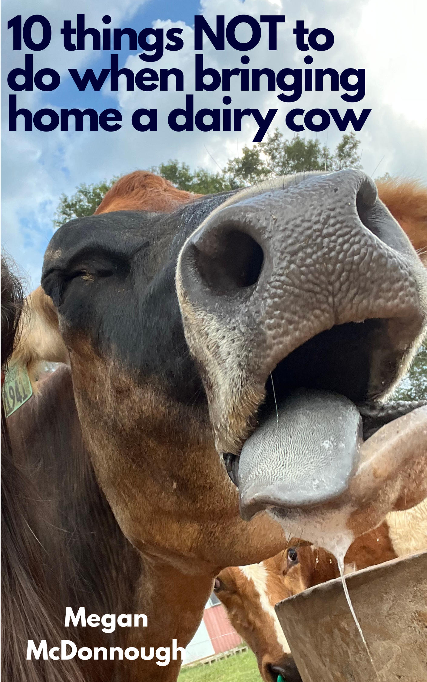 10 Things NOT to do when bringing home a diary cow.png