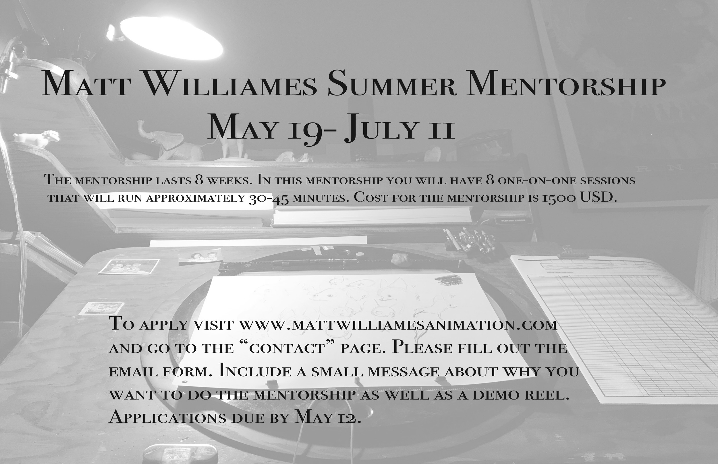 Summer Mentorship