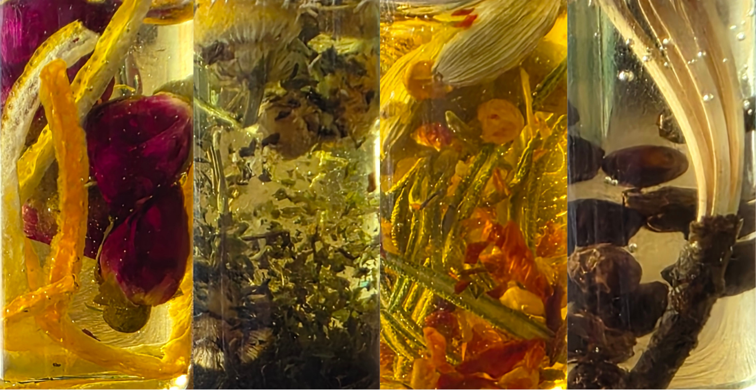 Cardinal Oil Collection