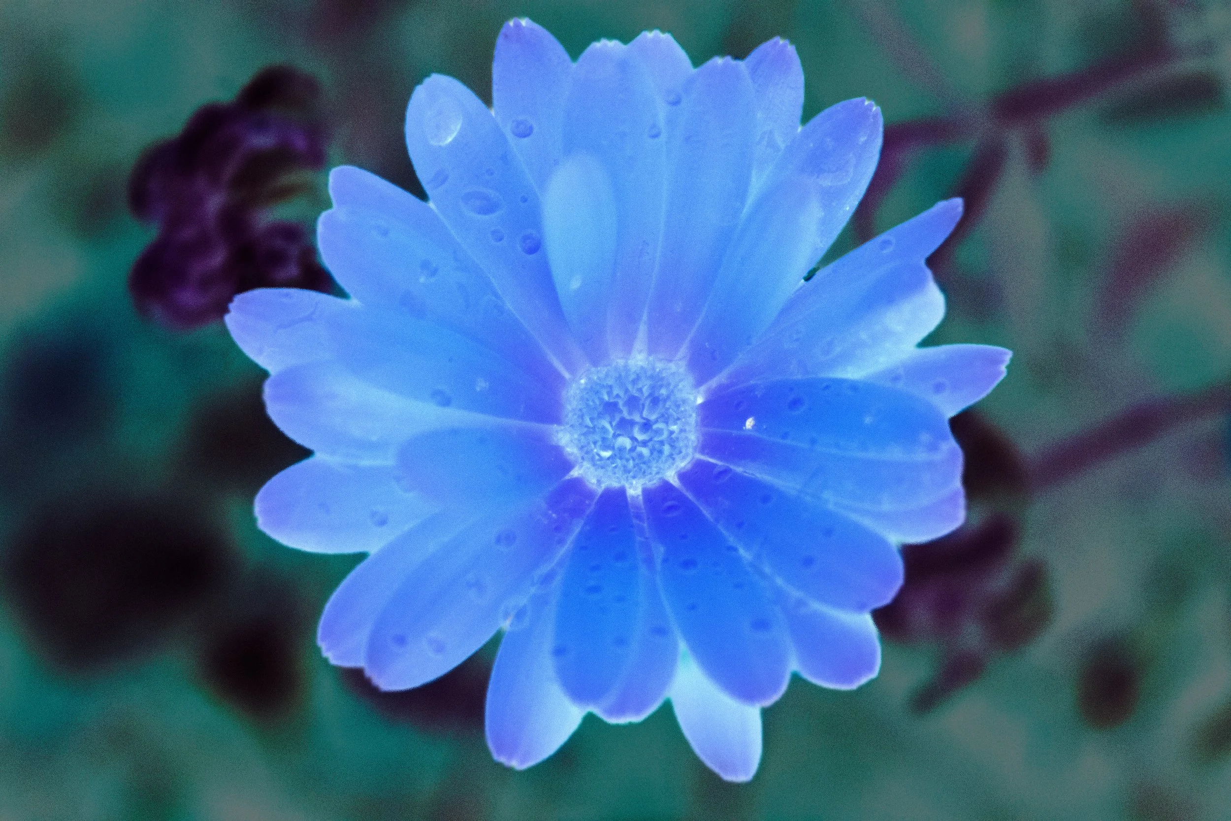 front invert final.jpg