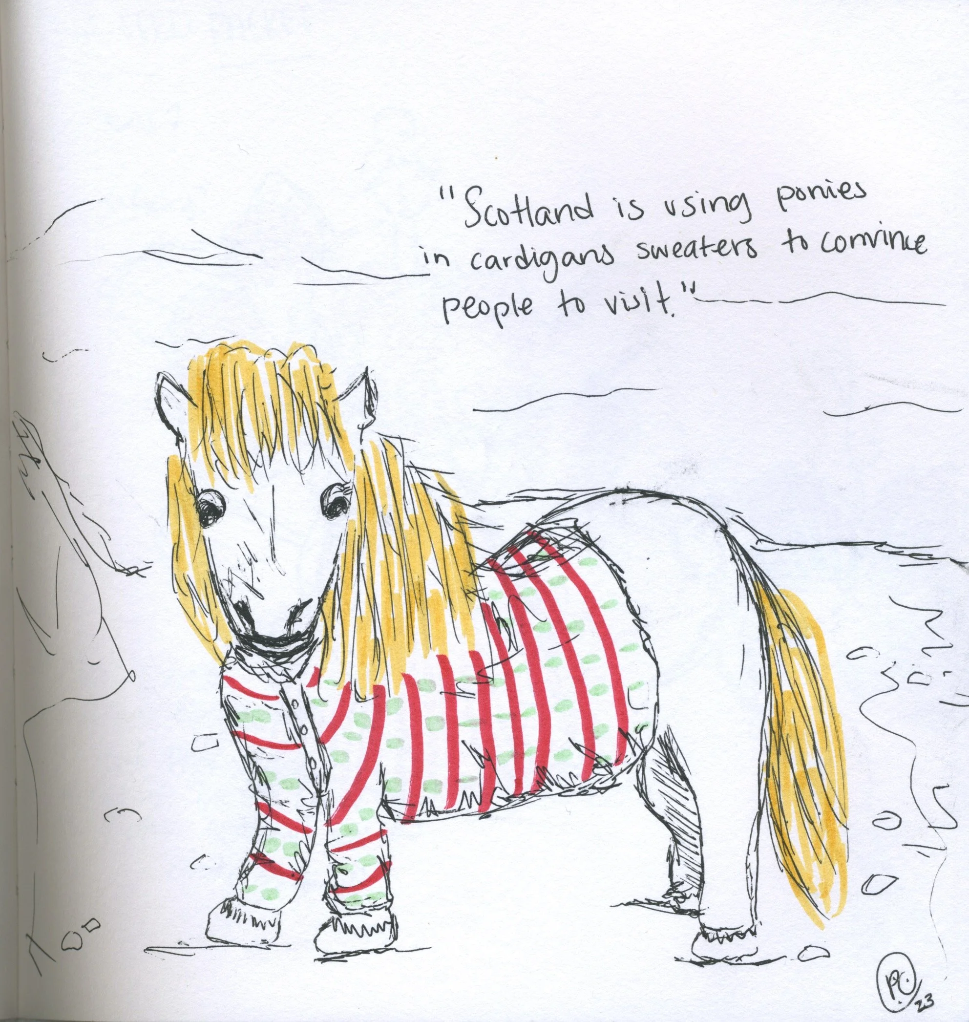 ponies in scotland.JPEG