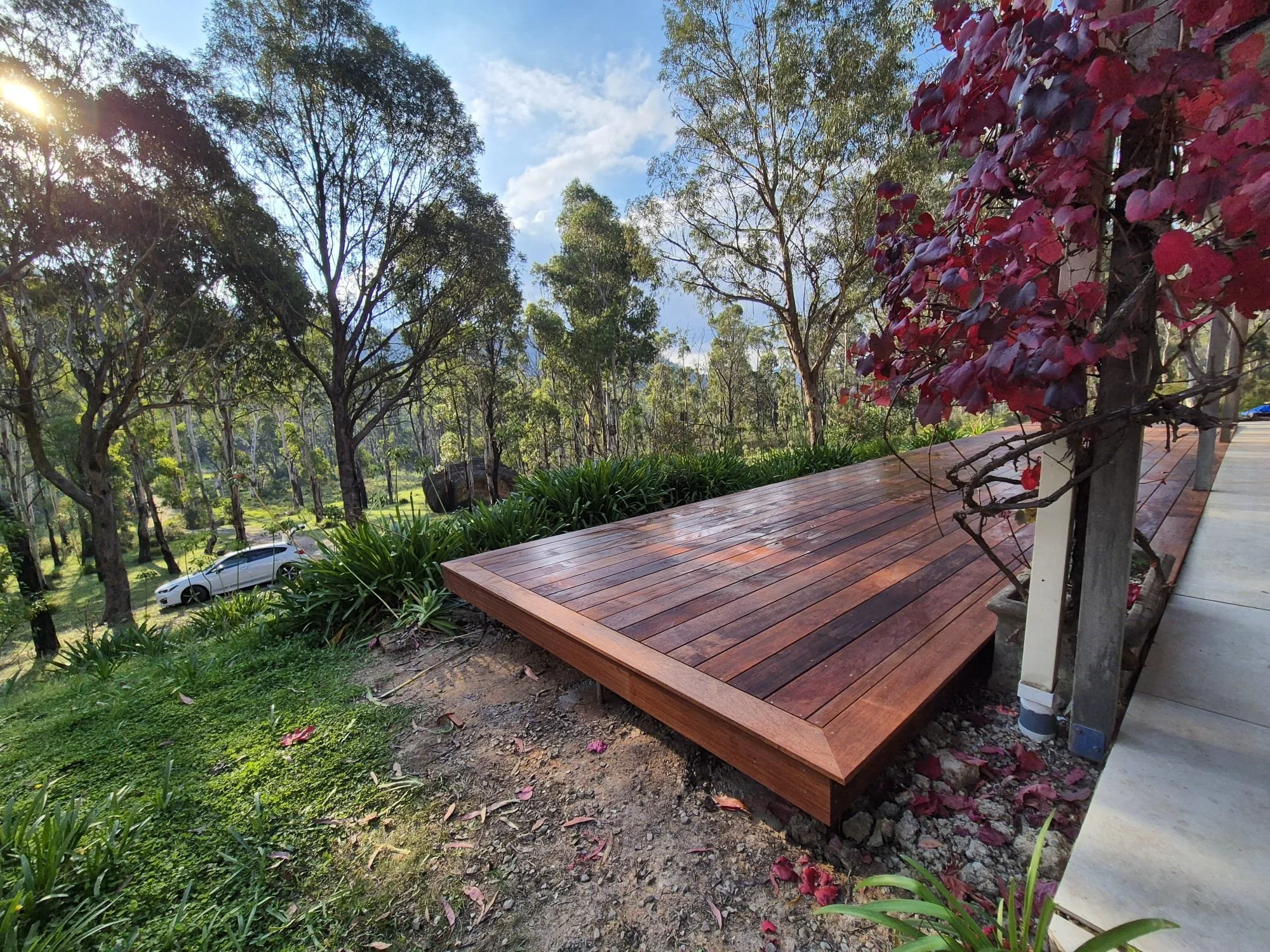A wooden deck and a sidewalk next to a planting bed with red and purple plants, surrounded by trees and greenery in a park or garden setting, with a car parked in the background and sunlight filtering through the trees.