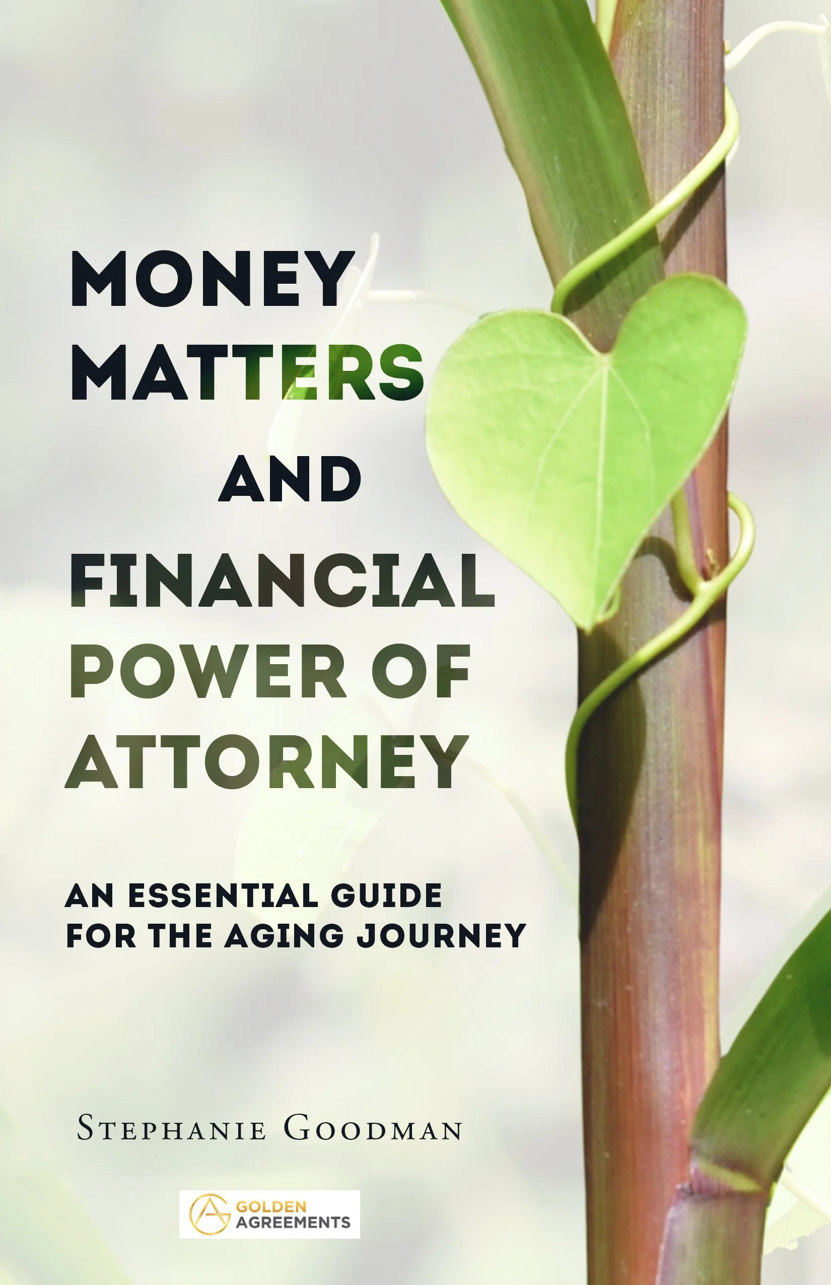 Money Matters and Financial Power of Attorney KDP 5.5x8.5.jpg