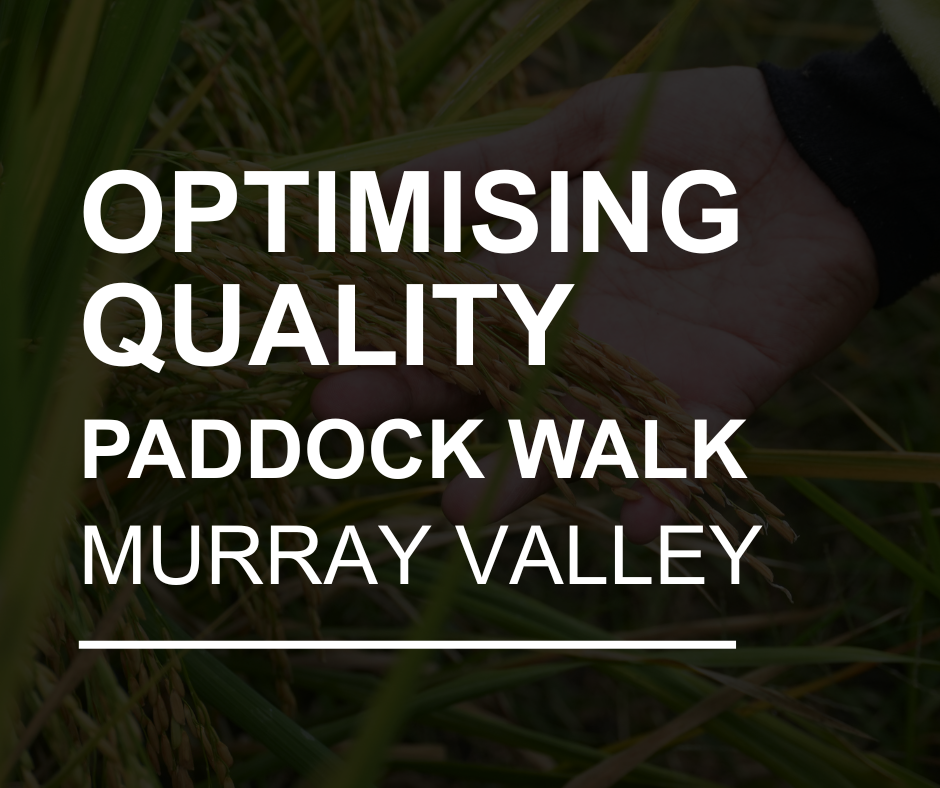 Murray Valley - Optimising Quality - Small Group Paddock Walks