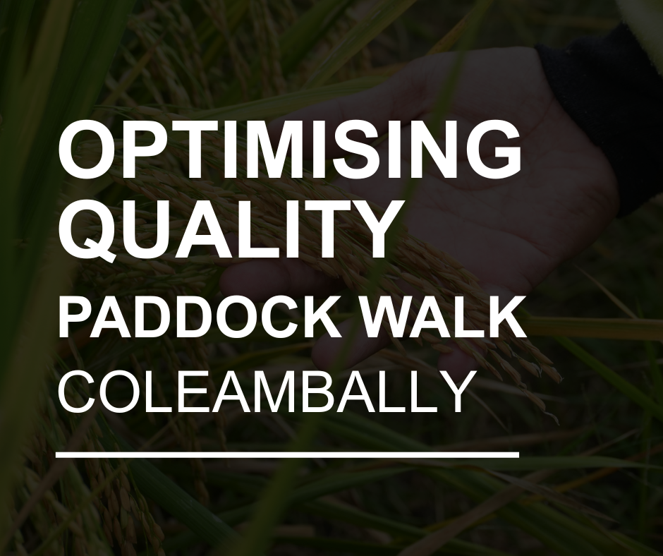 Coleambally - Optimising Quality - Paddock Walk