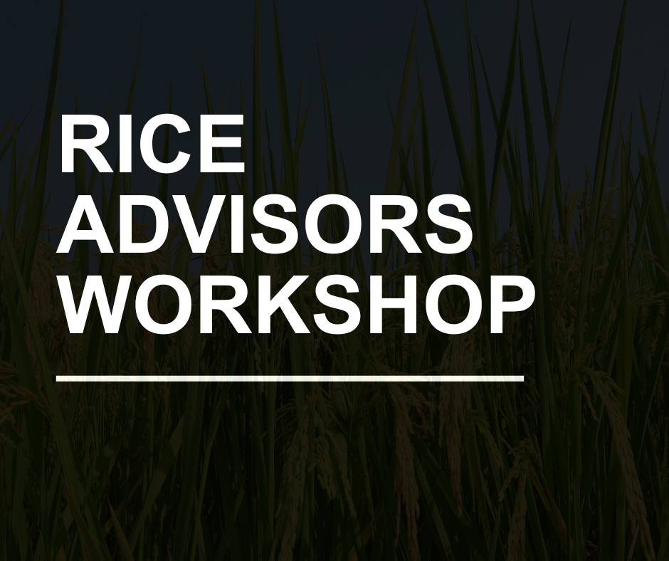 Supporting Rice Industry Advisors to Lead Through Change