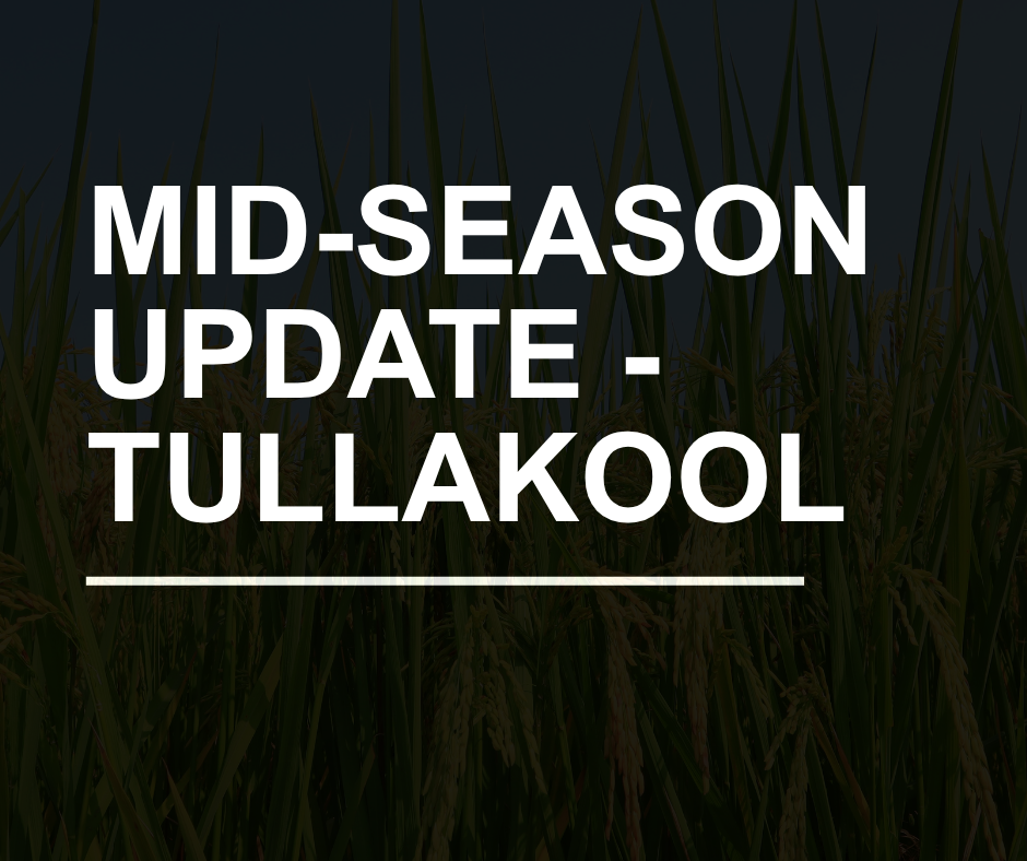 Murray Local Land Services - Mid-season update and variety trial inspection - Tullakool