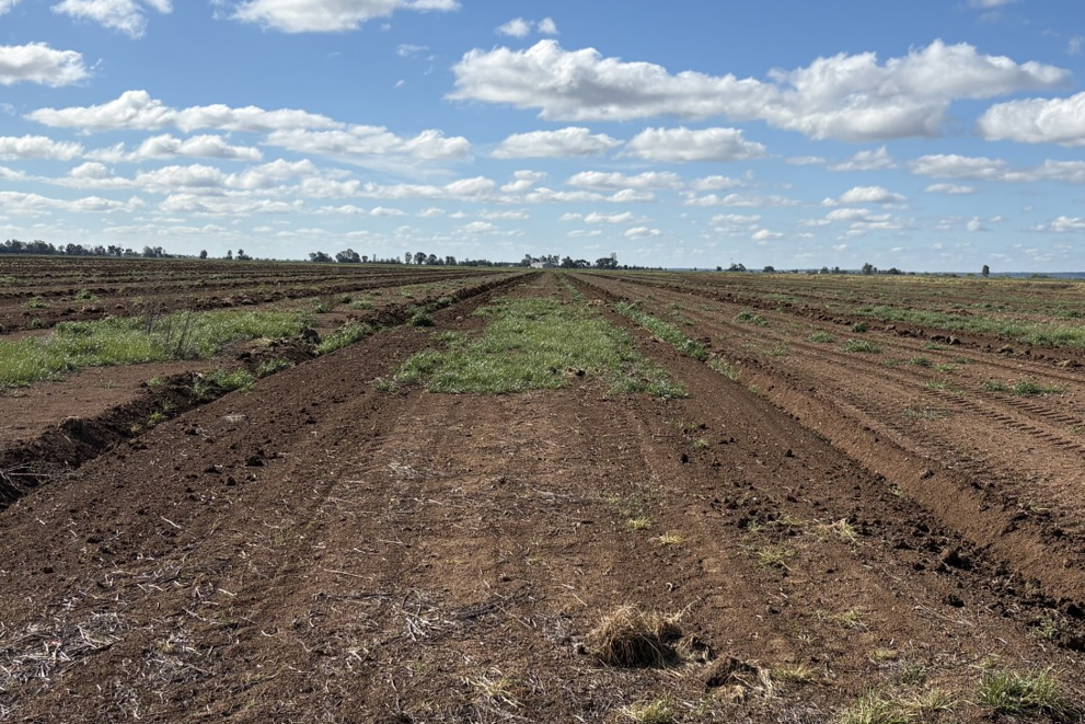 Example of 6 metre beds