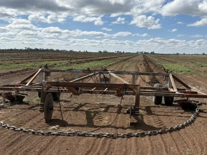 Picture 3