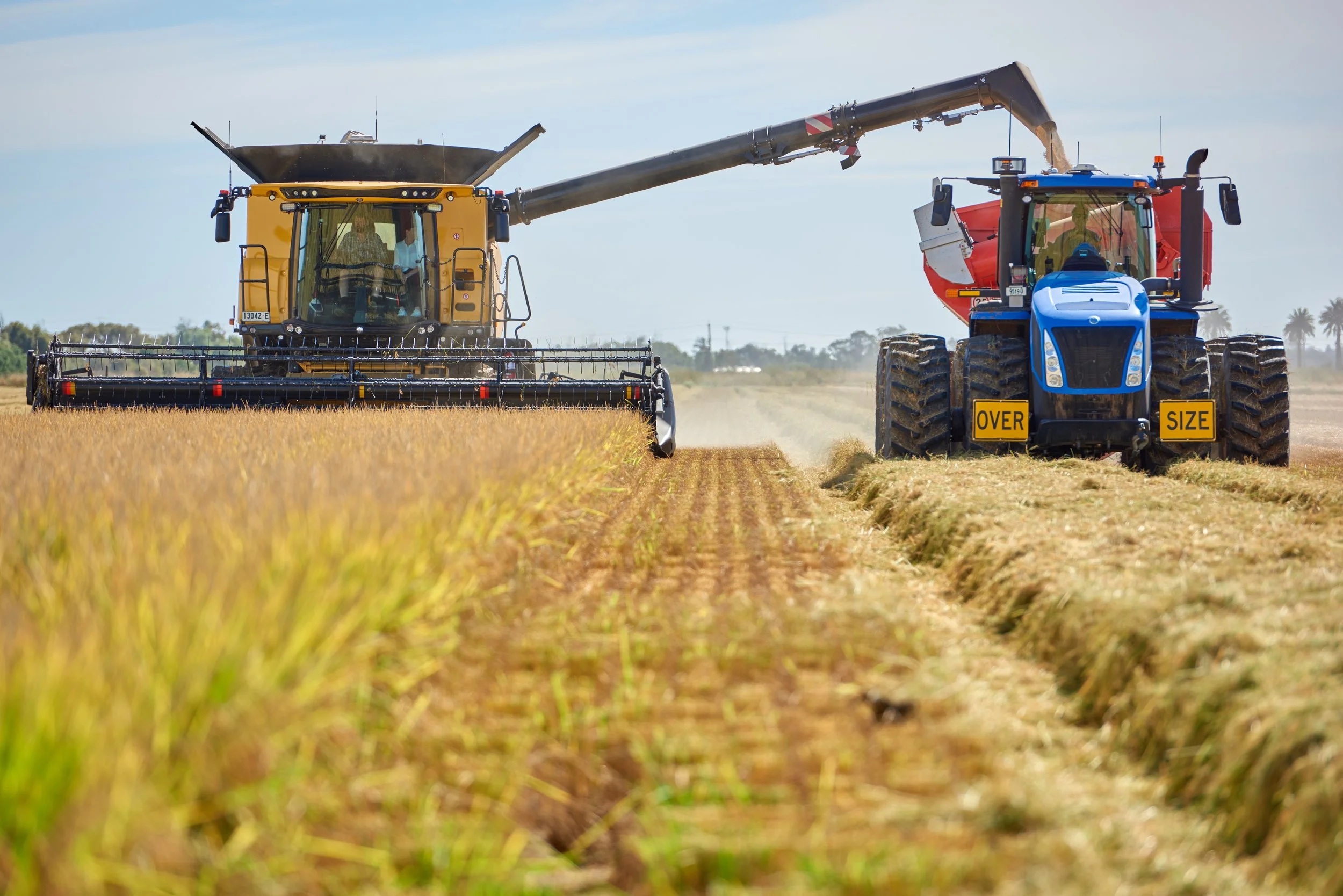Water Information Dashboard | Bureau of Meteorology (BoM) — Rice Extension