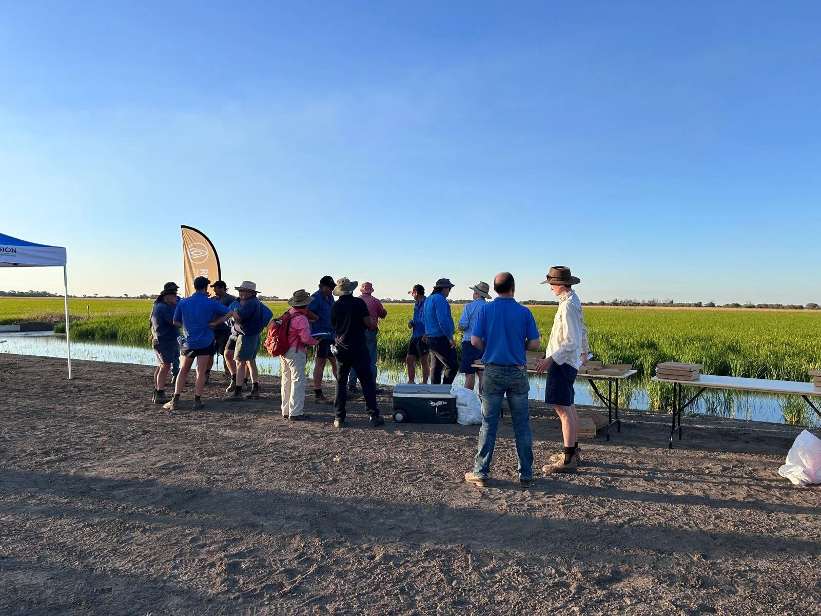 Group of people standing near an irrigation channel with rice crops