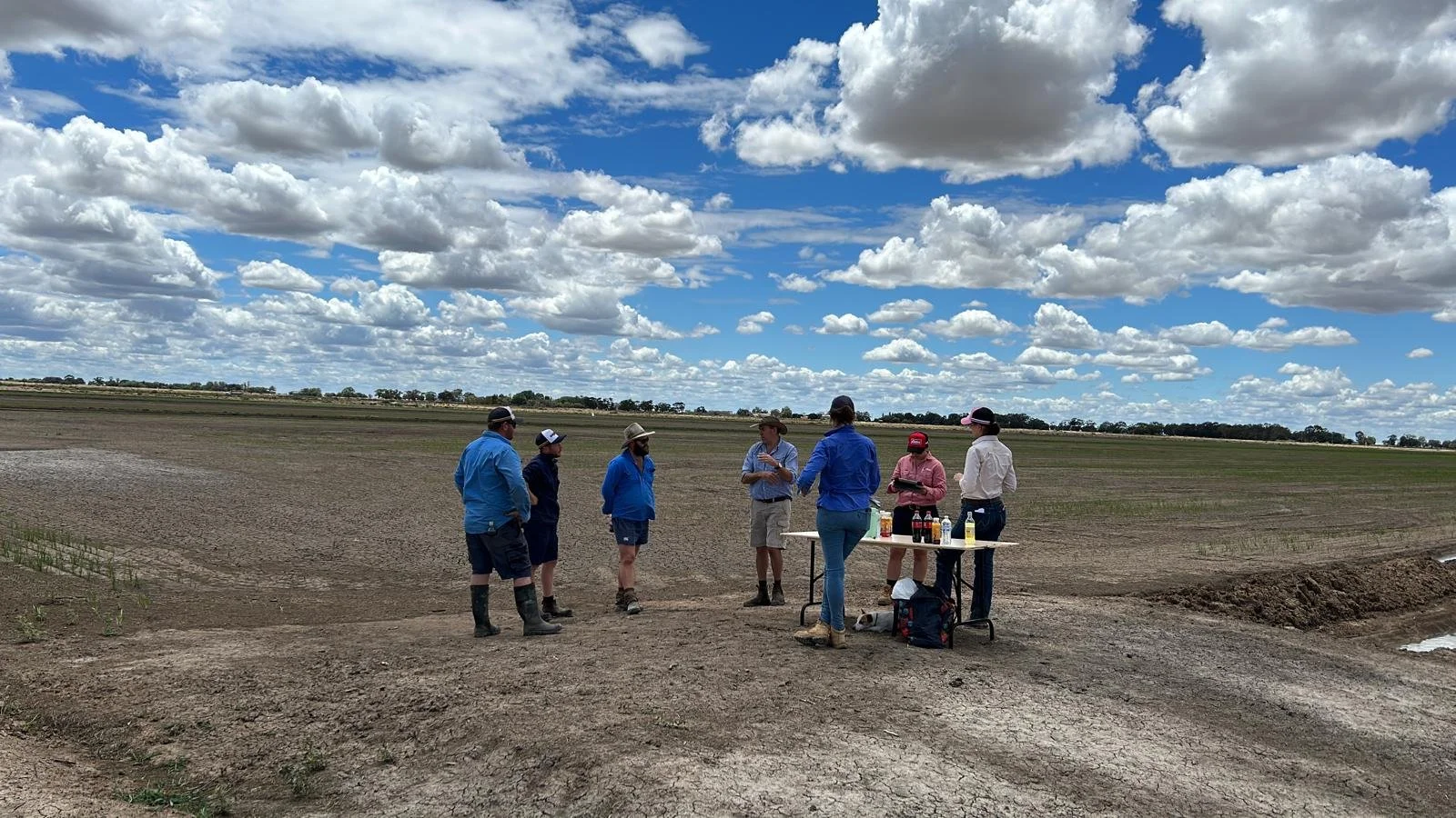 Group of people standing around a table in a rice farming field under a blue sky with scattered clouds in the Riverina.