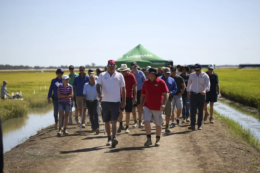 Case Studies — Rice Extension
