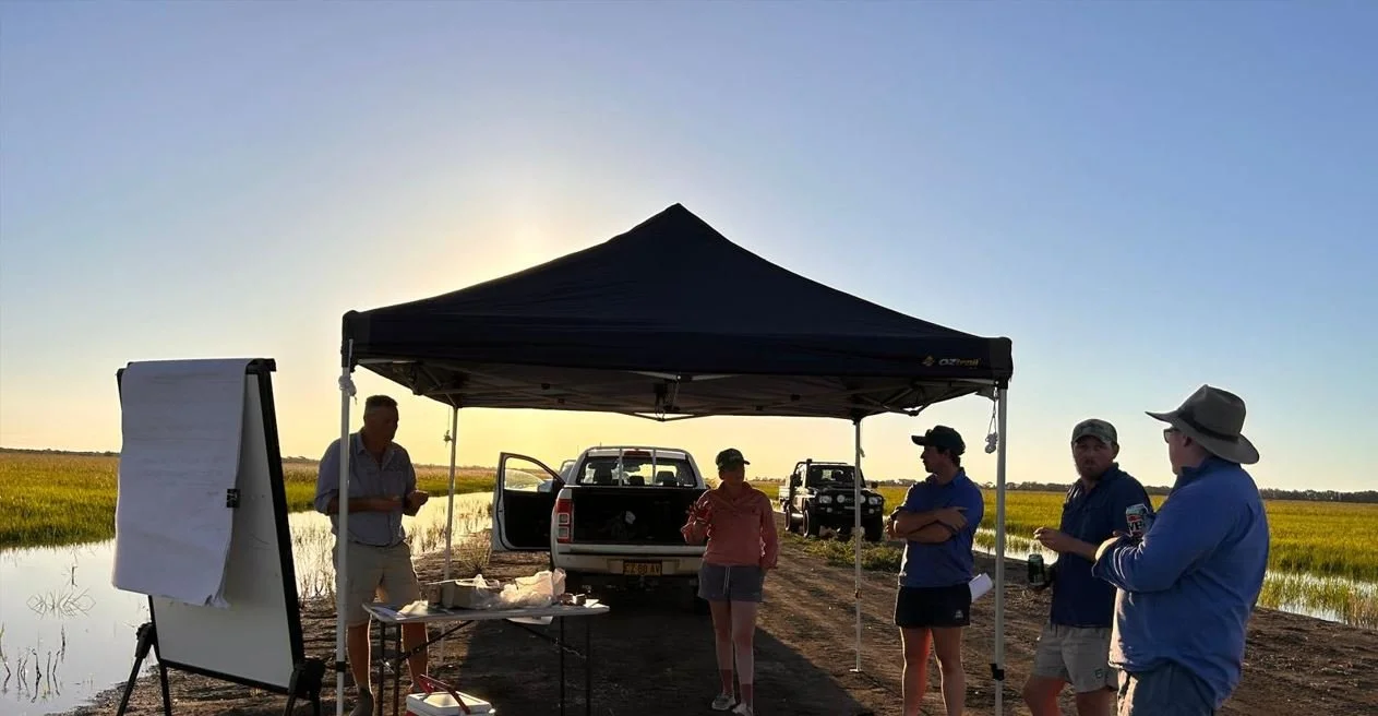 Group of people gathered under a black canopy tent near a body of water on a dirt road during sunset, with cars parked behind them and rice fields on either side.