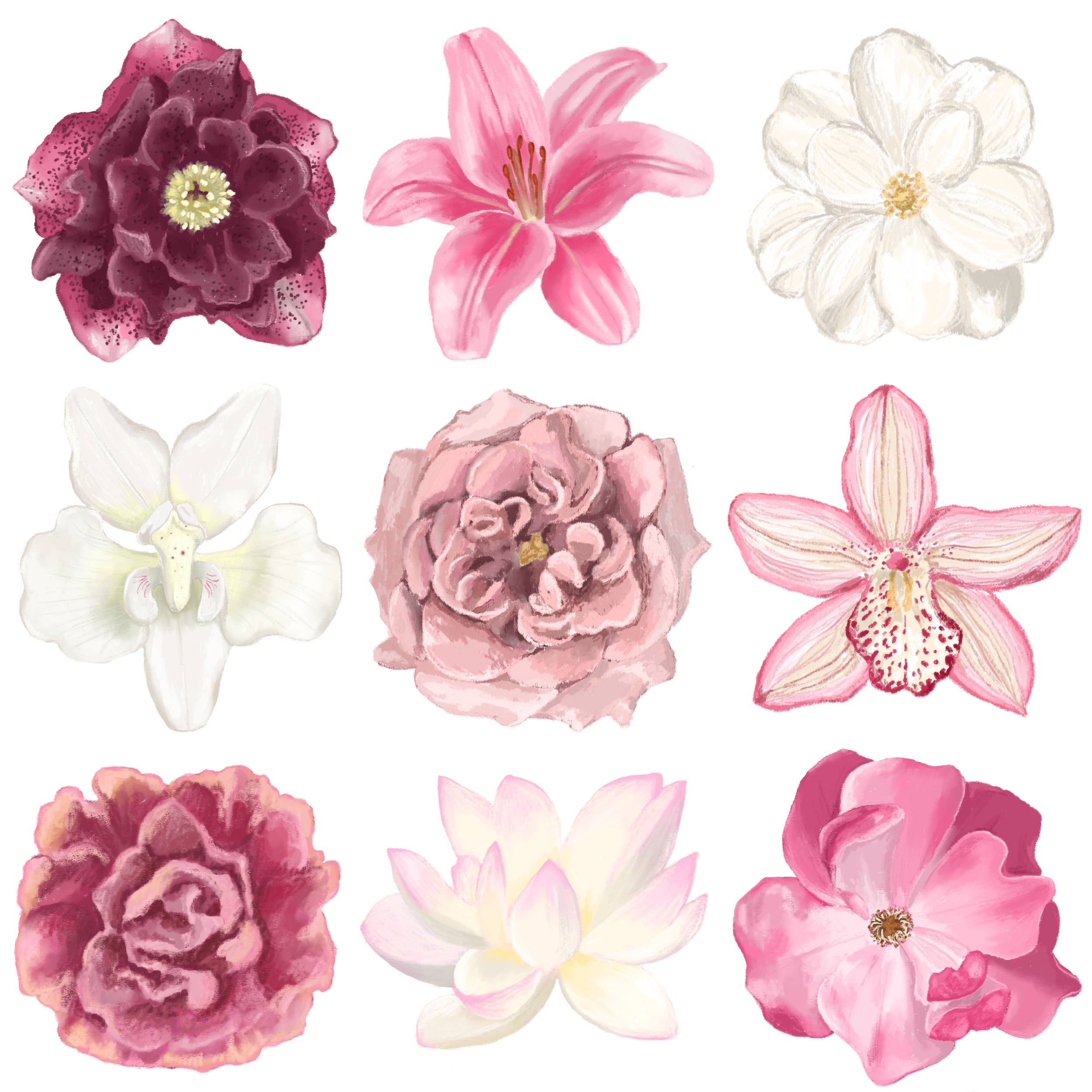 Untitled_Artwork 2.png