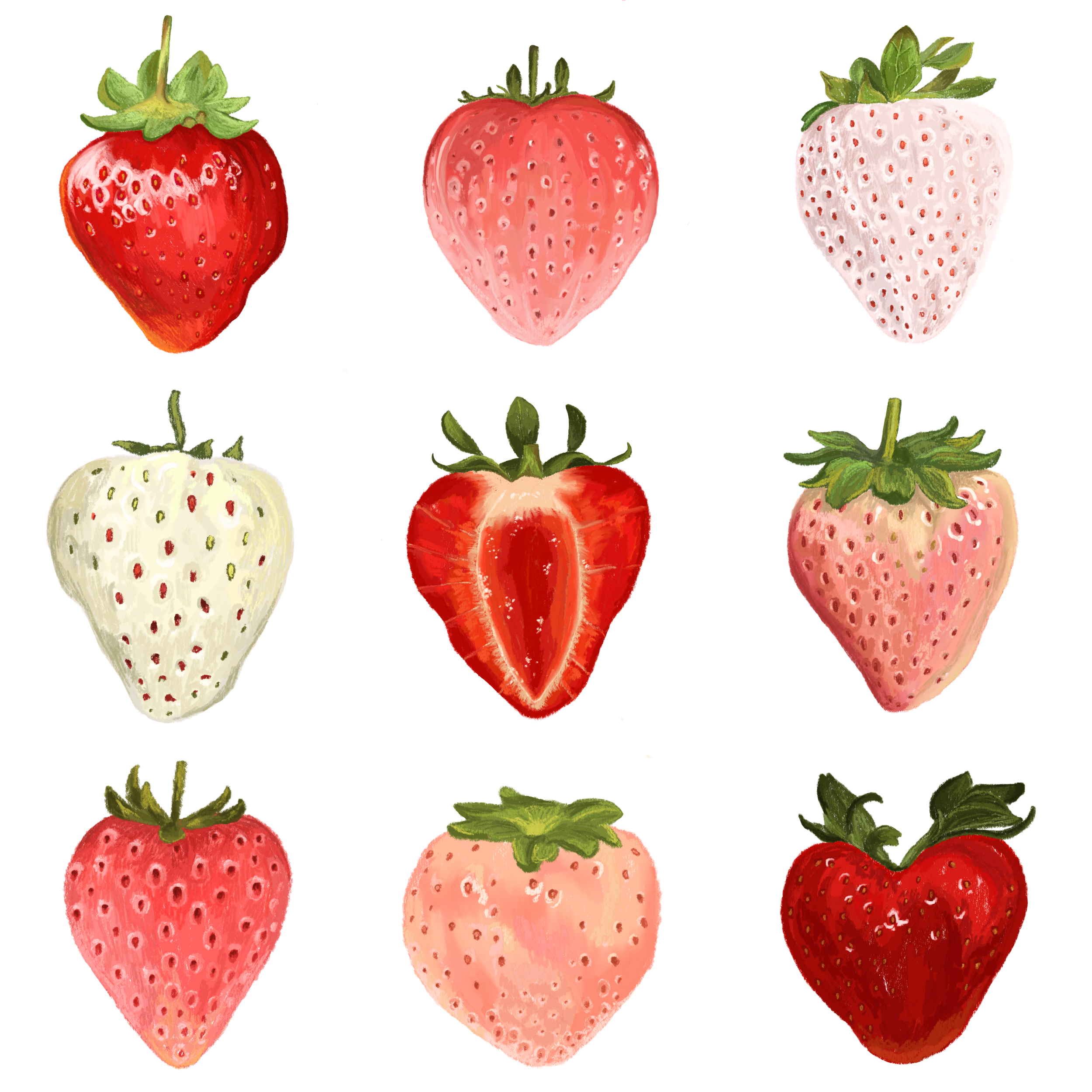 Untitled_Artwork 5.png