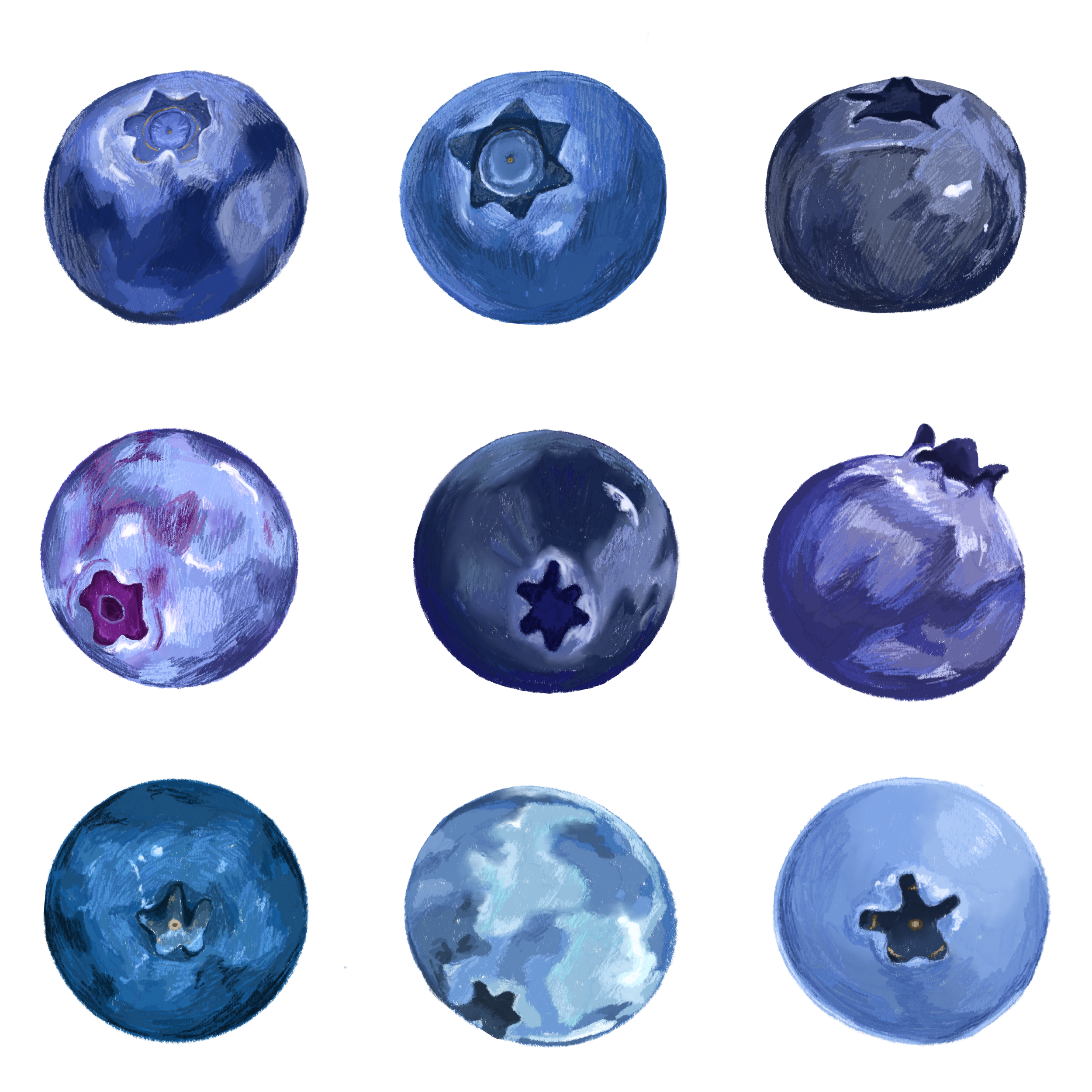 Untitled_Artwork 4.png