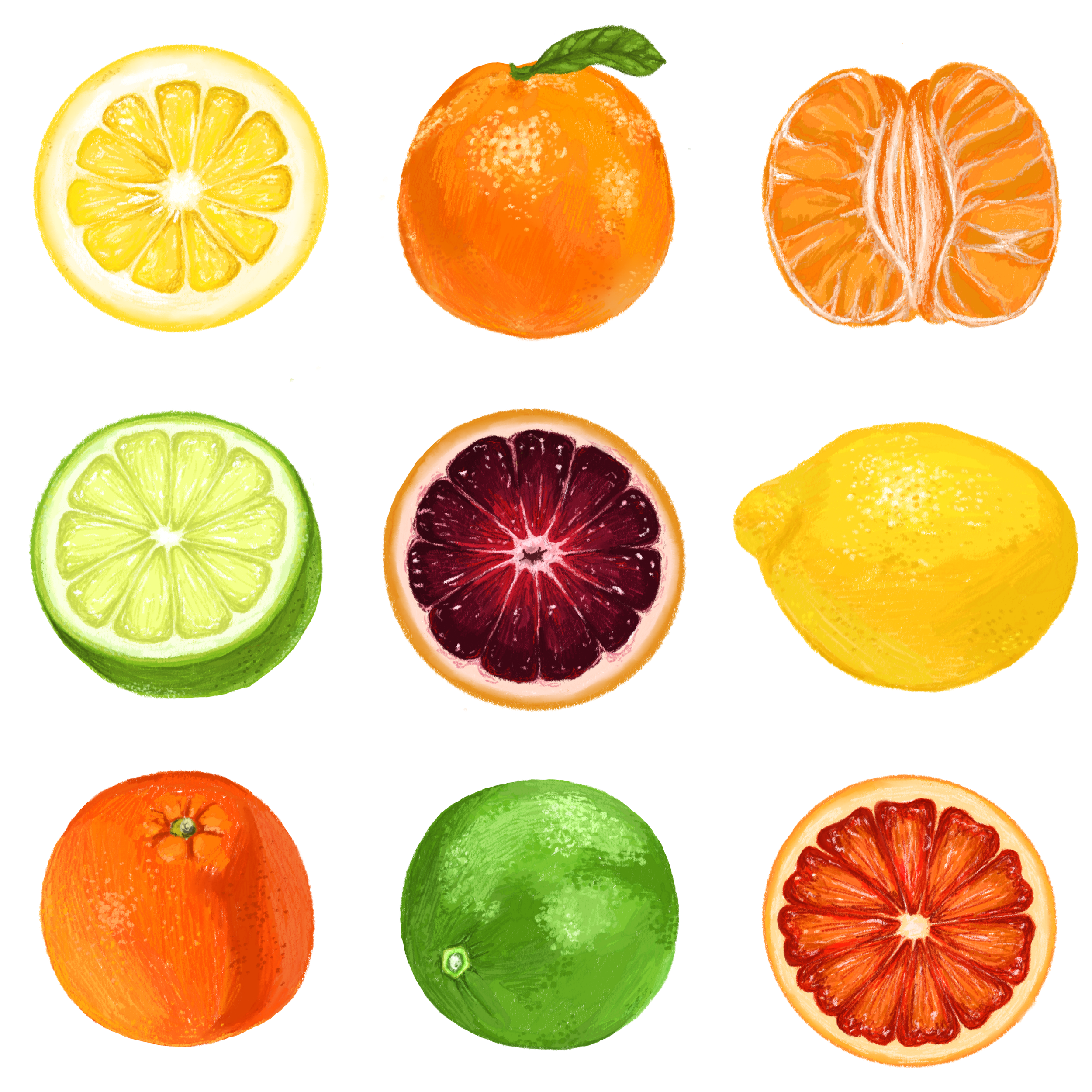 Untitled_Artwork 3.png