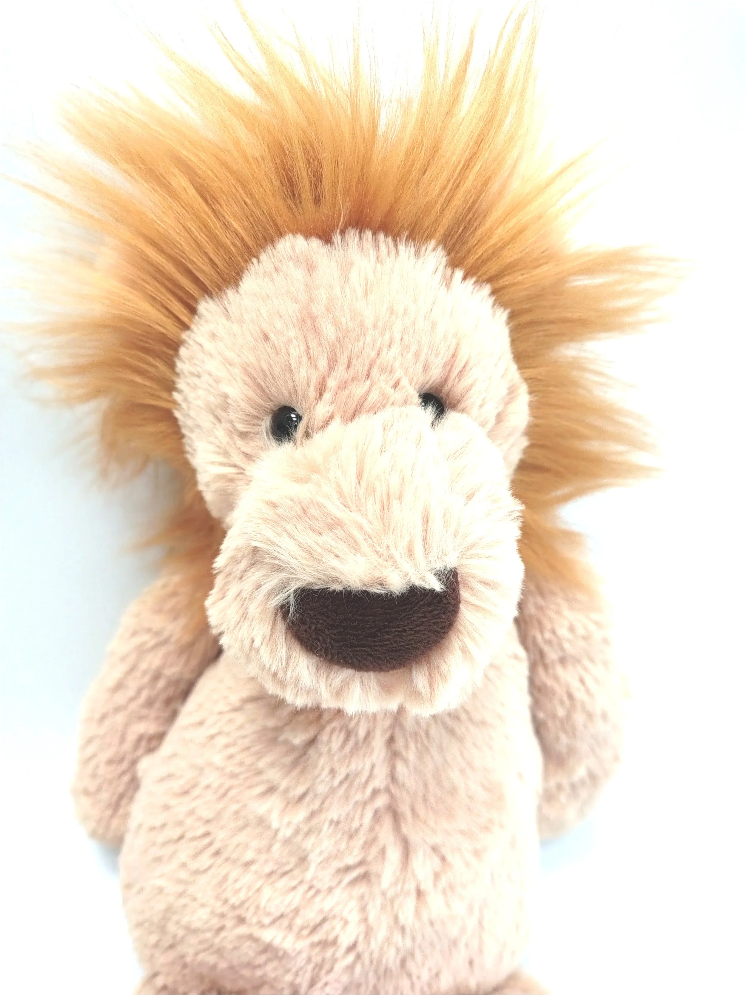 Leo - the Retired Jellycat