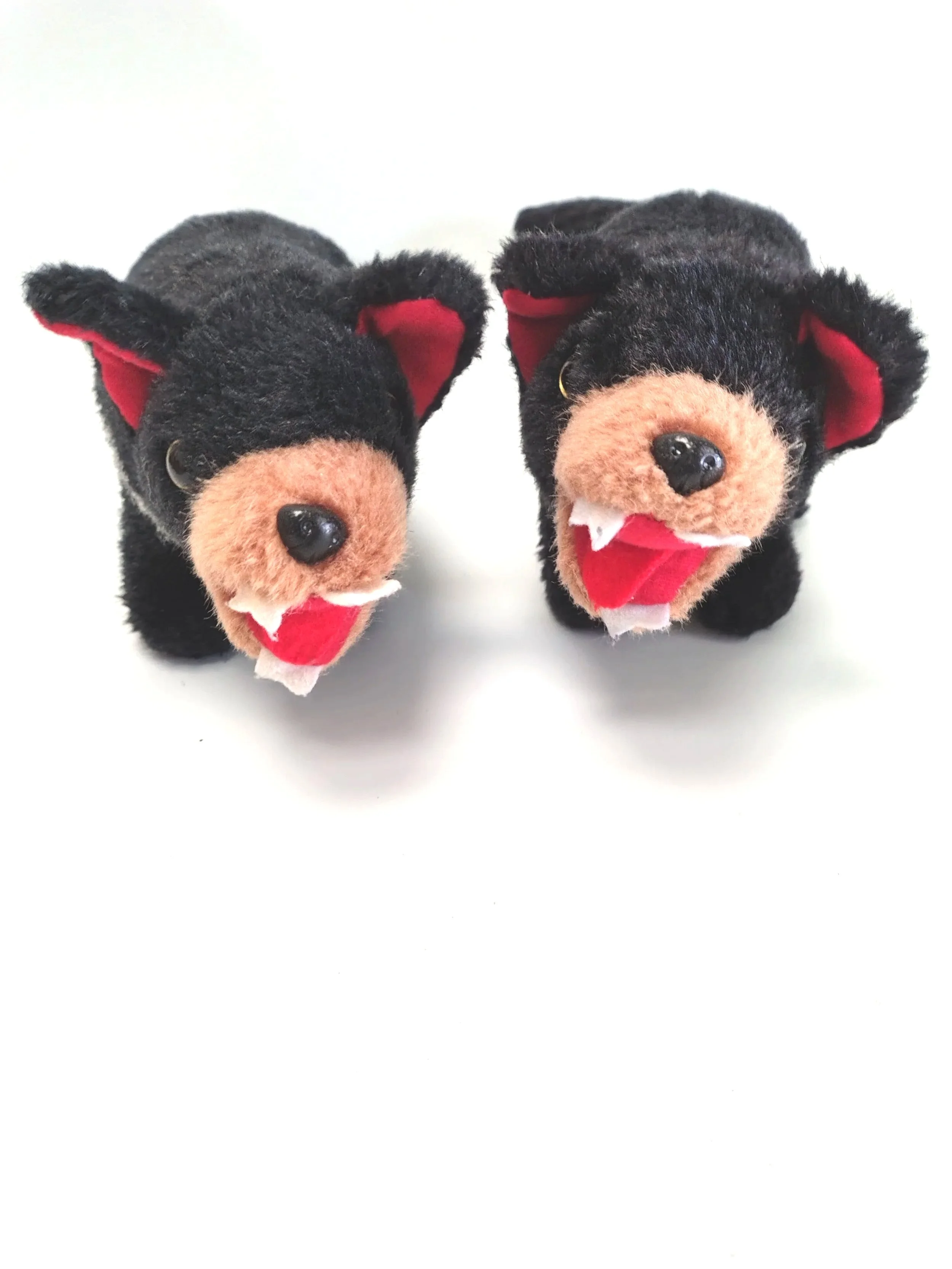Taz and Mayhem