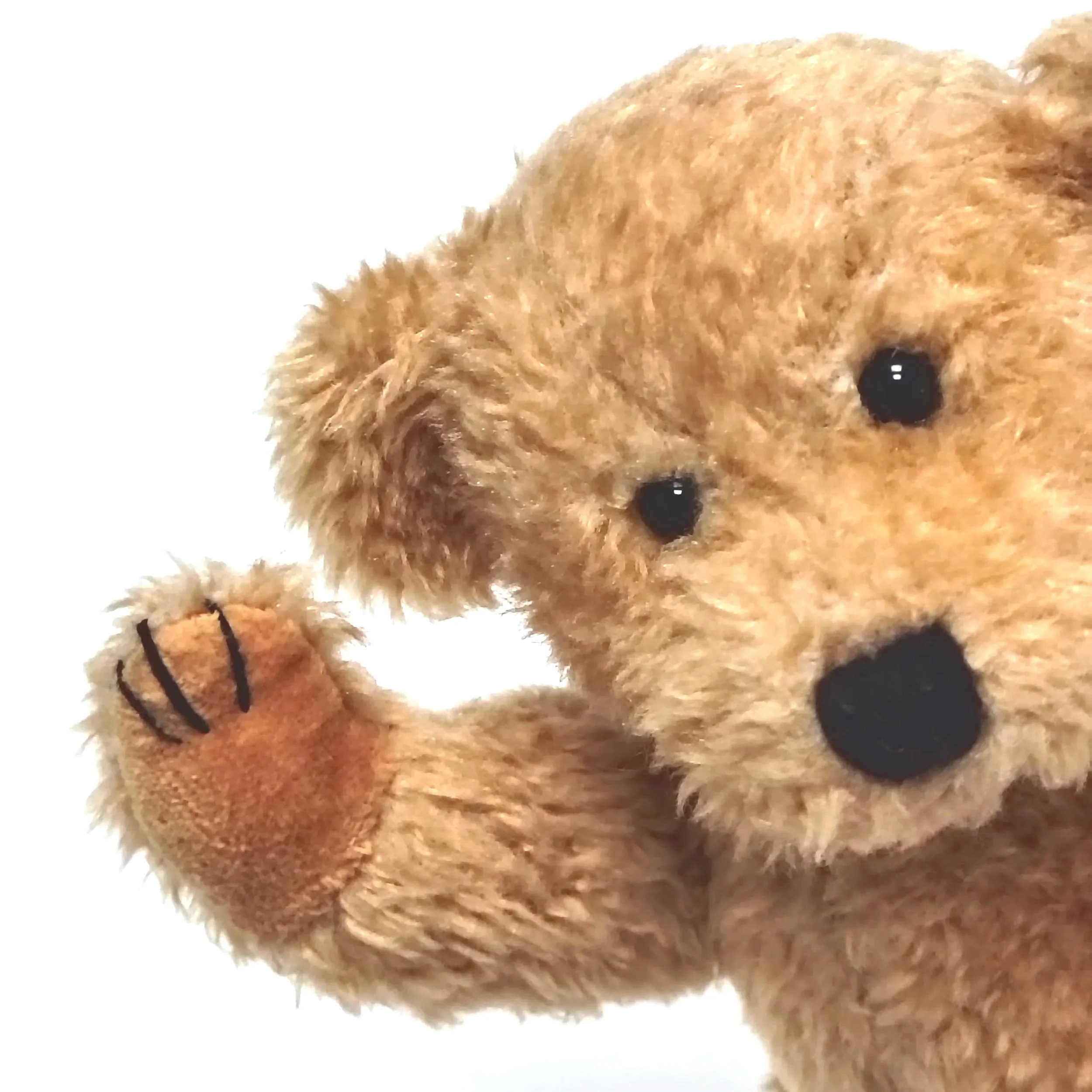 Martin - the MAFS fan