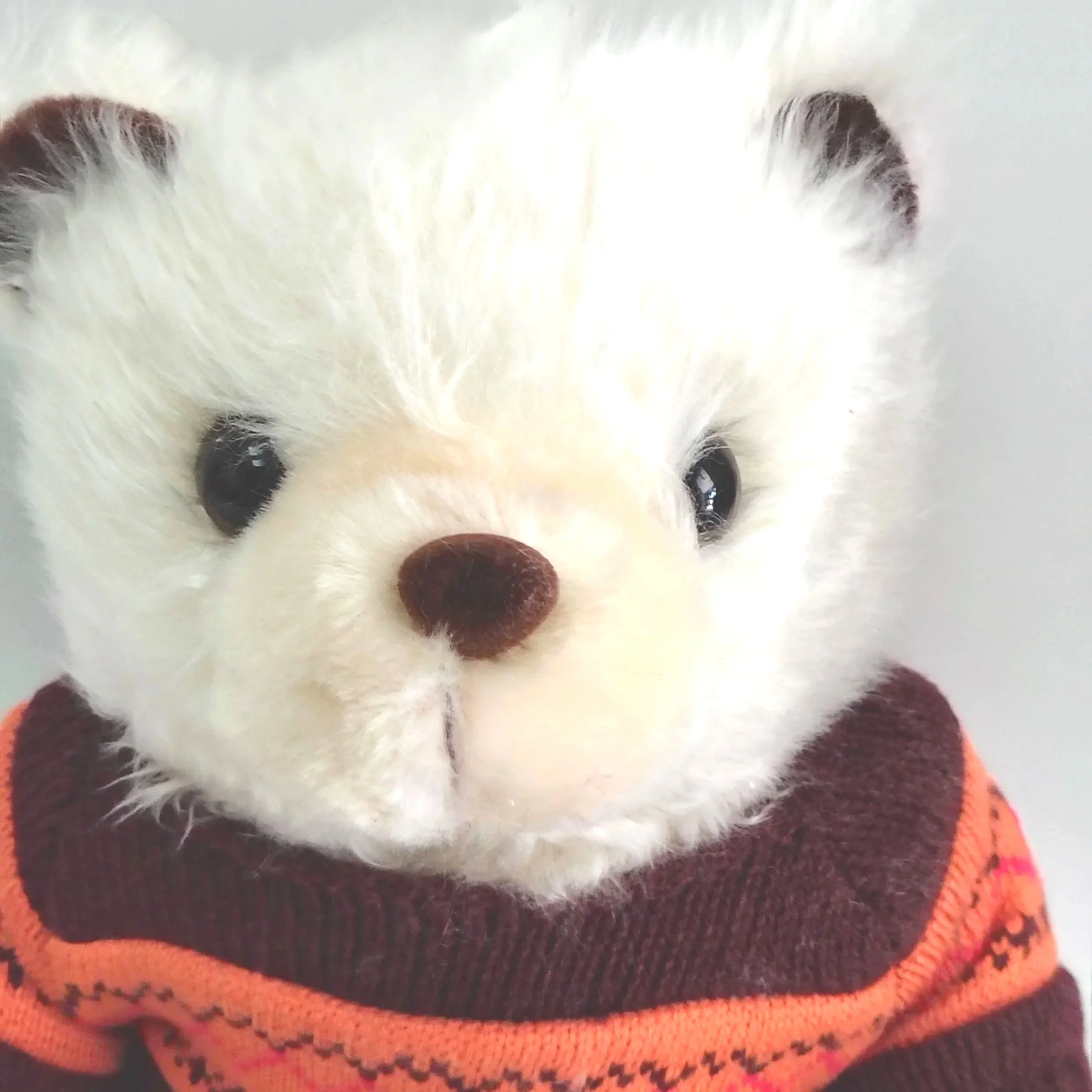 Harold - a 2006 Giorgio Beverly Hills bear