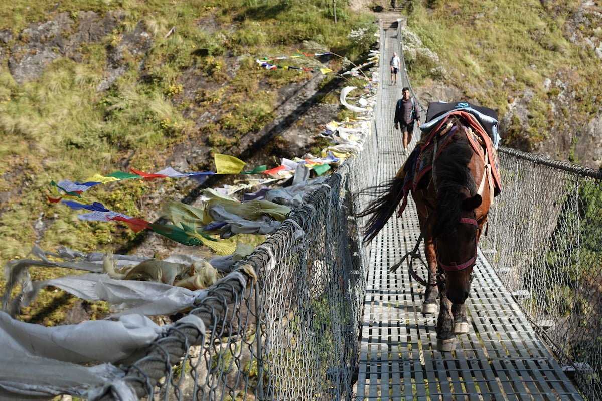 trekking-nepal-himalayas-4.jpg